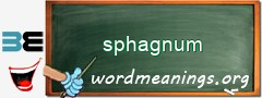 WordMeaning blackboard for sphagnum